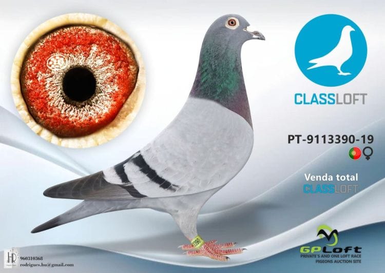 Classloft