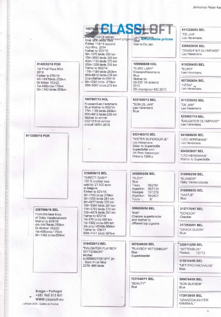 Pedigree de Classloft